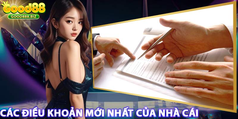 Cập nhật điều khoản nhà cái good88 mới nhất 2024