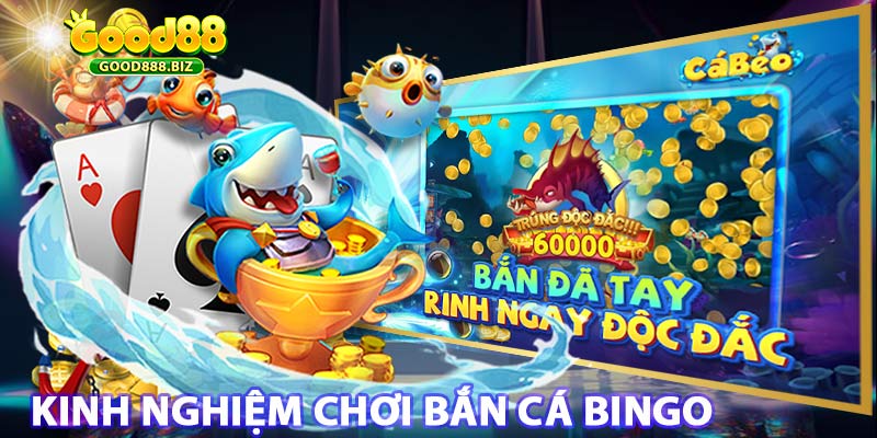 Kinh Ngiệm Chơi bắn cá Bingo cực đã