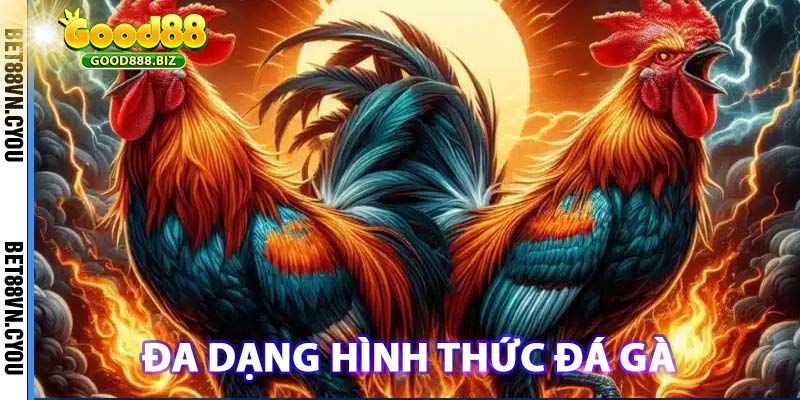 Điểm qua các hình thức đá gà hấp dẫn